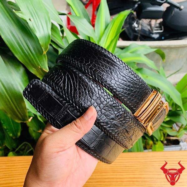 Hình ảnh thắt lưng da cá sấu đan viền TMA9B4 màu đen, khóa vàng, cầm trên tay trước nền lá xanh tươi mát.