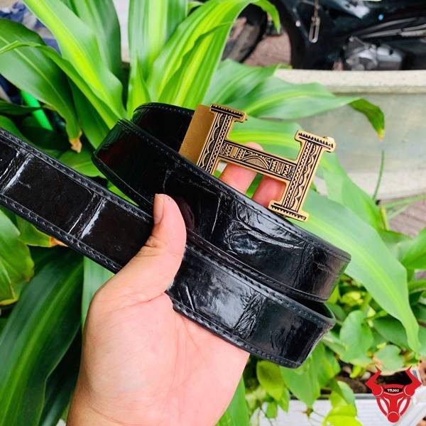 Hình ảnh thắt lưng da cá sấu TSK103, khóa thép mạ vàng, cầm trên tay trước nền lá xanh tươi mát.