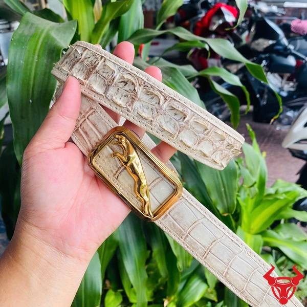 Hình ảnh thắt lưng ray trượt da cá sấu bạch tạng, khóa thép không gỉ mạ vàng, cầm trên tay giữa lá xanh.