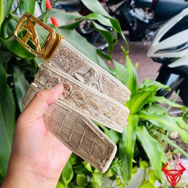 Hình ảnh thắt lưng ray trượt da cá sấu bạch tạng, khóa thép không gỉ mạ vàng, cầm tay với nền lá xanh.