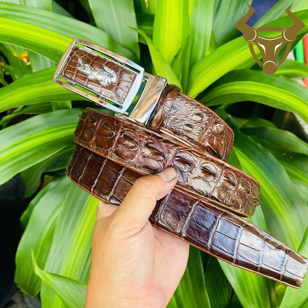 Thắt lưng da cá sấu TLA4B2 khóa trắng bền bỉ, sang trọng, cao cấp, lịch lãm.