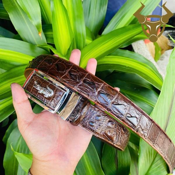 Thắt lưng da cá sấu TLA4B2 khóa trắng cao cấp, sang trọng, bền bỉ, lịch lãm.