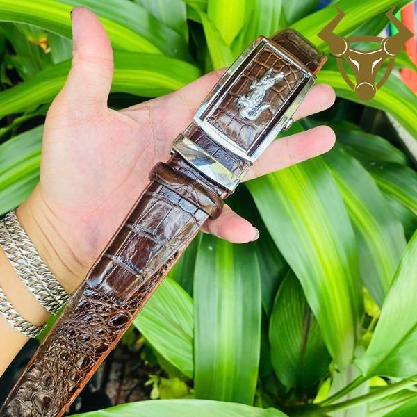 Thắt lưng da cá sấu TLA4B2 khóa trắng bền bỉ, sang trọng, cao cấp, lịch lãm.