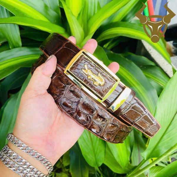 Thắt lưng da cá sấu TLA4B2 khóa vàng bền bỉ, sang trọng, cao cấp, lịch lãm.