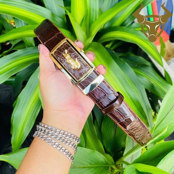 Thắt lưng da cá sấu TLA4B2 khóa vàng bền bỉ, sang trọng, cao cấp, lịch lãm.