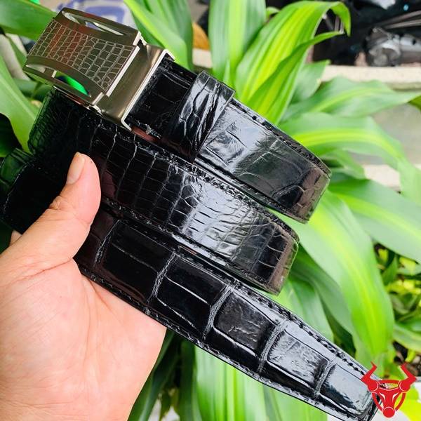 Hình ảnh thắt lưng da cá sấu TSK32, khóa lăn inox họa tiết cá sấu, cầm trên tay giữa lá xanh.