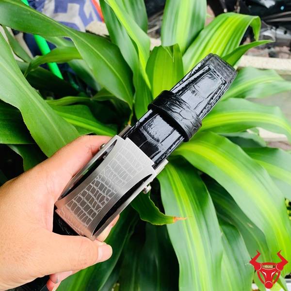 Hình ảnh thắt lưng da cá sấu TSK32, khóa lăn inox họa tiết cá sấu, cầm tay với nền lá xanh.