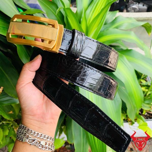 Hình ảnh thắt lưng da cá sấu TSK33, khóa tỳ thép vàng, cầm tay trên nền lá xanh.