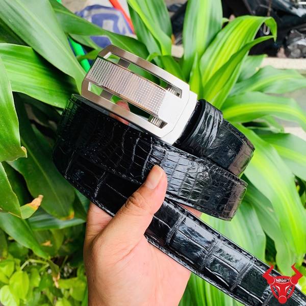 Hình ảnh dây lưng da cá sấu TSK33, khóa tỳ thép mạ bạc, cầm trên tay giữa lá xanh.