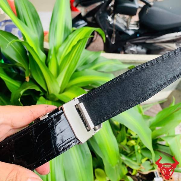 Hình ảnh dây lưng da cá sấu TSK33, khóa tỳ thép mạ bạc, cầm tay trên nền lá xanh.