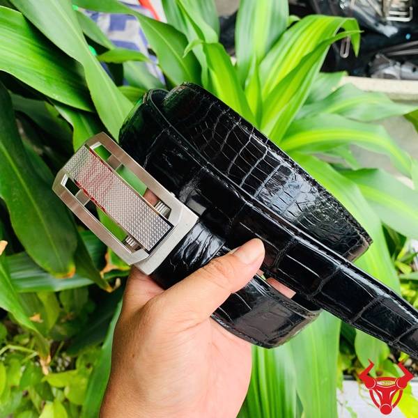 Hình ảnh dây lưng da cá sấu TSK33, khóa tỳ thép mạ bạc, cầm trên tay với lá xanh.