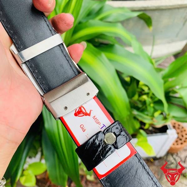 Hình ảnh dây lưng da cá sấu TSK33, khóa tỳ thép mạ bạc, cầm tay trên nền lá xanh.