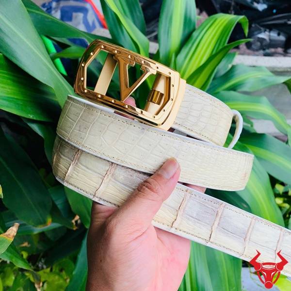 Hình ảnh thắt lưng da cá sấu bạch tạng TSK20, khóa thép chữ V mạ vàng, cầm trên tay giữa lá xanh.