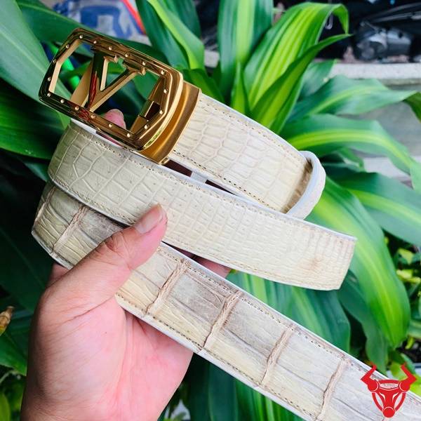 Hình ảnh thắt lưng da cá sấu bạch tạng TSK20, khóa thép chữ V mạ vàng, cầm tay với nền lá xanh.