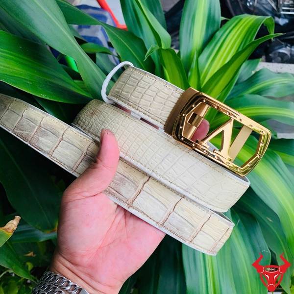 Hình ảnh thắt lưng da cá sấu bạch tạng TSK20, khóa thép chữ V mạ vàng, cầm tay trên nền lá xanh.