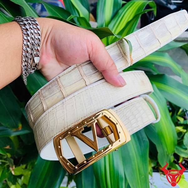 Hình ảnh thắt lưng da cá sấu bạch tạng TSK20, khóa thép chữ V mạ vàng, cầm tay trên nền lá xanh.