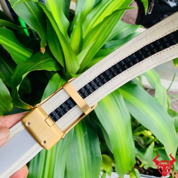 Hình ảnh thắt lưng da cá sấu bạch tạng TSK20, khóa thép chữ V mạ vàng, cầm tay giữa lá xanh.
