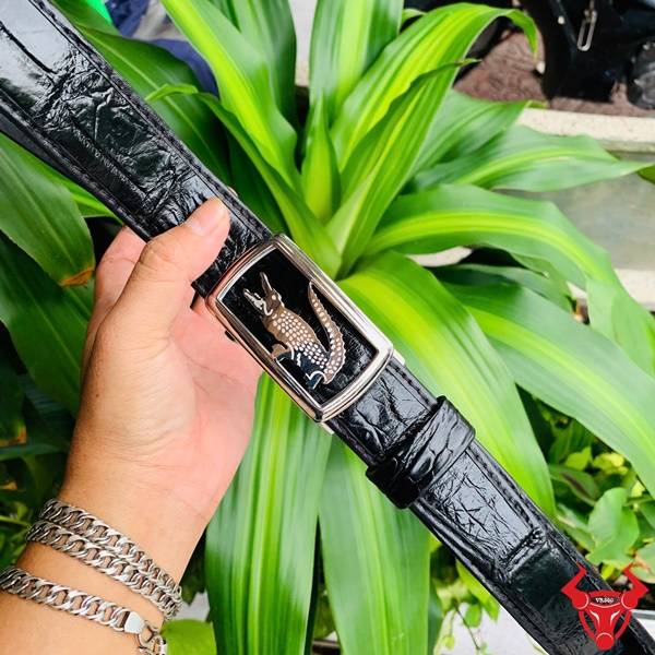 Hình ảnh thắt lưng da cá sấu TSK73, kiểu ray trượt, mặt khóa inox mạ bạc, cầm trên tay giữa lá xanh.