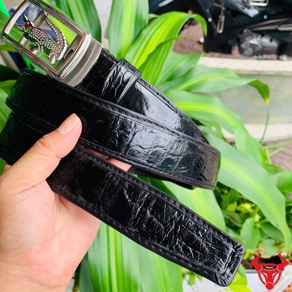 Hình ảnh thắt lưng da cá sấu TSK73, ray trượt tinh tế, mặt khóa inox mạ bạc, cầm tay trên nền lá xanh.