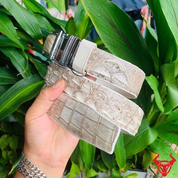 Thắt lưng da cá sấu gù liền màu bạch tạng.