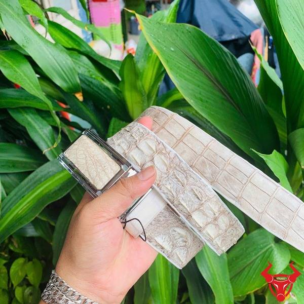 Thắt lưng nam da cá sấu bạch tạng cao cấp.