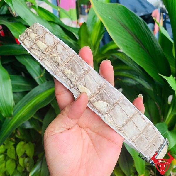 Thắt lưng nam cao cấp cá sấu bạch tạng.