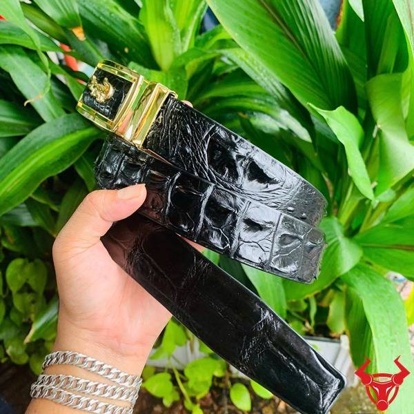 Ảnh thắt lưng TLA4B2 da cá sấu đen gù lưng, khóa vàng, nền thực vật xanh tươi.