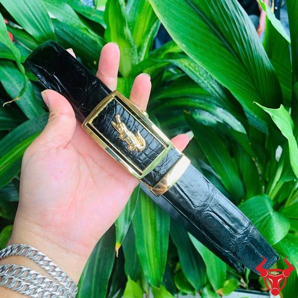 Ảnh sản phẩm thắt lưng TLA4B2 đen da cá sấu gù lưng, khóa vàng, nền lá cây.