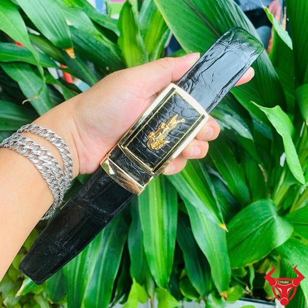Hình thắt lưng đen TLA4B2 da cá sấu với khóa vàng, cầm tay giữa vườn xanh.