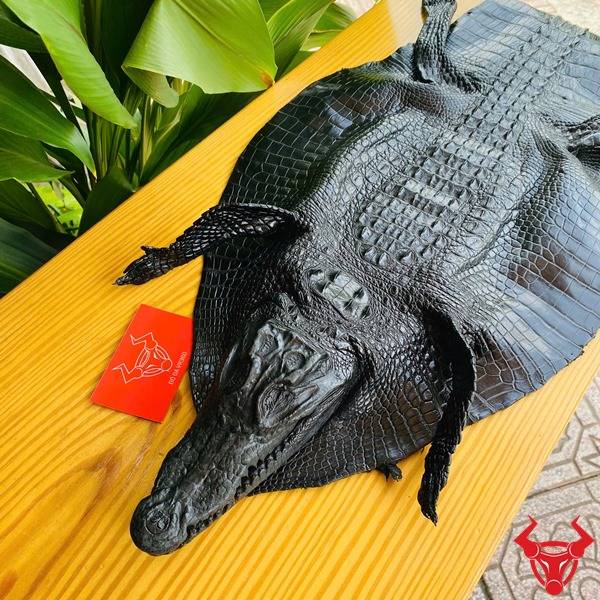 Da cá sấu nguyên con size 3 nhỏ sang trọng.