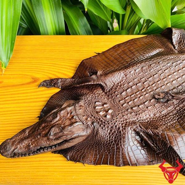 Da cá sấu nguyên con size 3 nhỏ đẳng cấp.