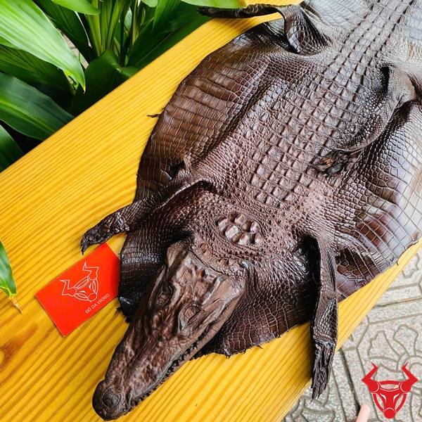 Da cá sấu nguyên con size 3 nhỏ chất lượng cao.