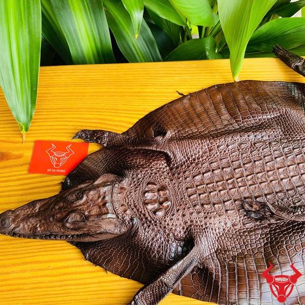 Da cá sấu nguyên con nhỏ gọn bền bỉ.