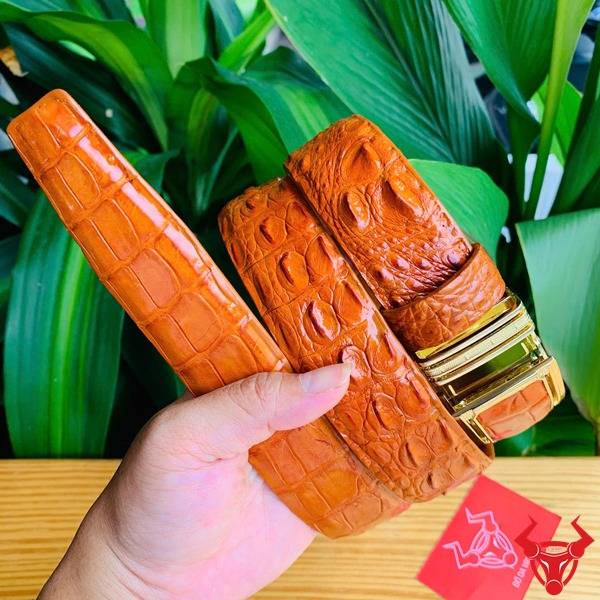 Thắt lưng cá sấu gù liền cao cấp màu bò cam.