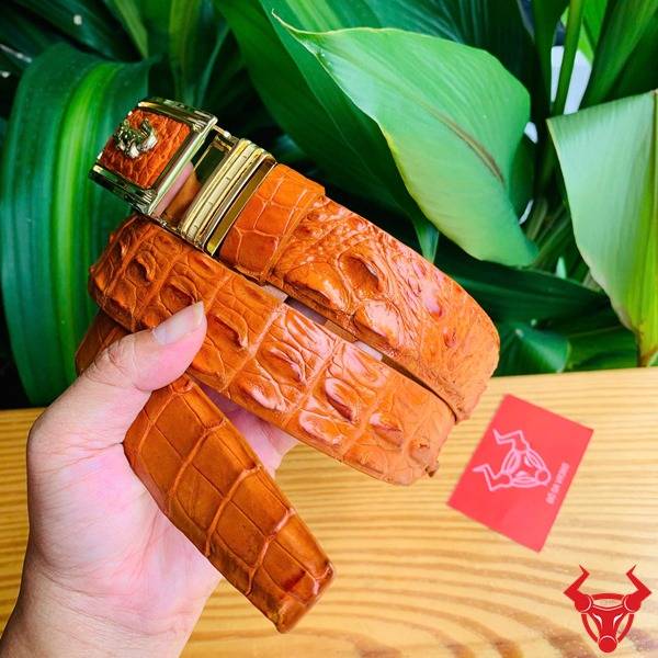 Thắt lưng nam cá sấu bò cam cao cấp.