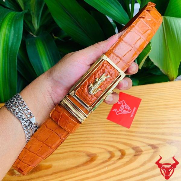 Thắt lưng liền da cá sấu bò cam cao cấp.