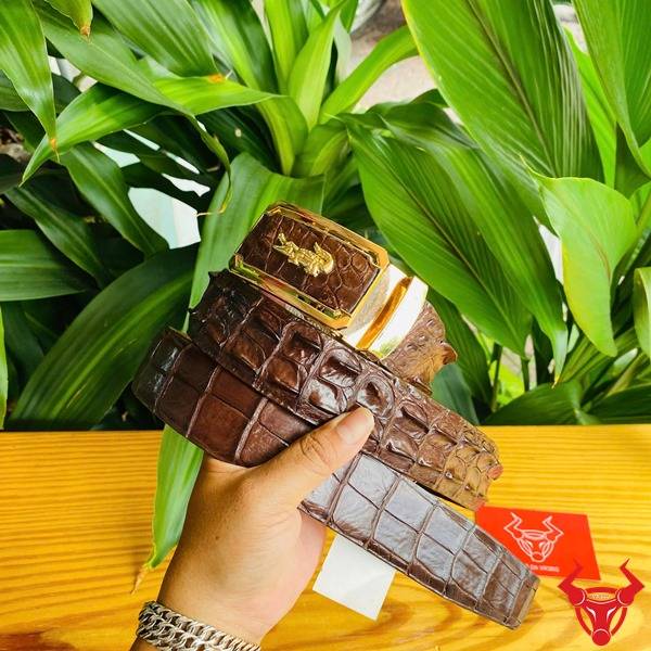 Thắt lưng da cá sấu gù liền nâu đất cao cấp.