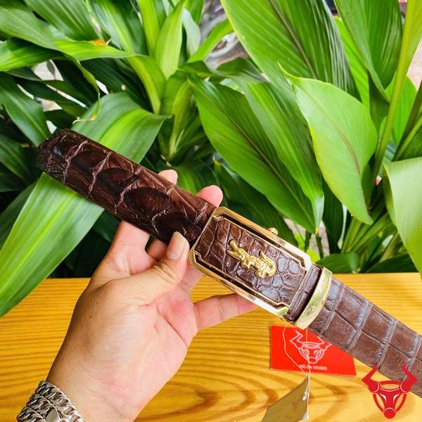 Thắt lưng da cá sấu gù liền TLA4B4 màu nâu đất.