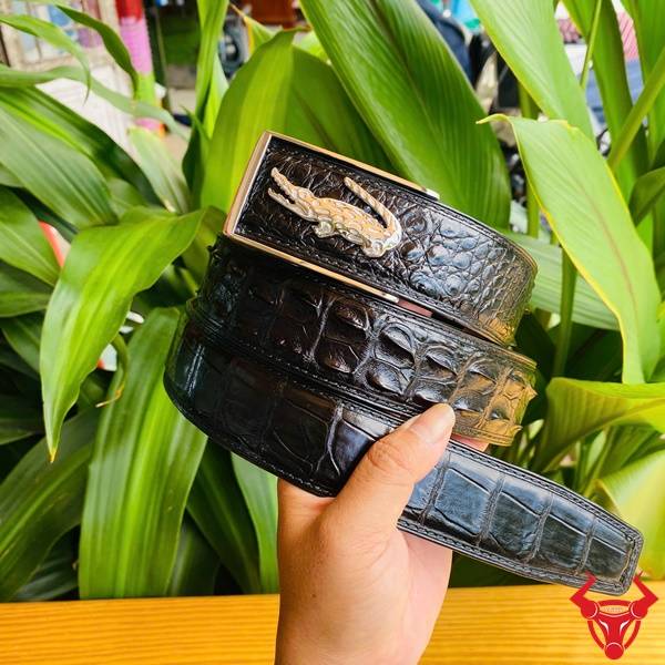 Thắt Lưng Da Cá Sấu TSK122 – Sang Trọng Và Bền Bỉ Theo Thời Gian Thắt lưng da cá sấu sang trọng TSK122.