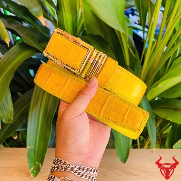 Thắt Lưng Nam Da Cá Sấu Vàng – Biểu Tượng Phong Cách Quý Ông Thắt lưng liền da cá sấu vàng đẳng cấp, khóa mạ vàng tinh tế.
