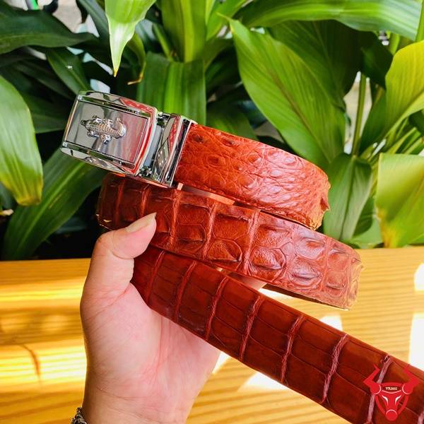 Thắt Lưng Cá Sấu Liền Da Màu Nâu Đỏ – Sang Trọng Và Lịch Lãm Thắt lưng da cá sấu cao cấp màu nâu đỏ khóa trắng hợp kim sáng.
