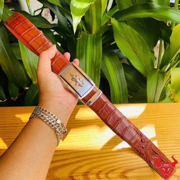 Thắt Lưng Da Cá Sấu Nâu Đỏ Chính Hãng – Đẳng Cấp Và Thời Trang Thắt lưng cá sấu thật màu nâu đỏ bản 3.5cm khóa trắng sáng bóng.