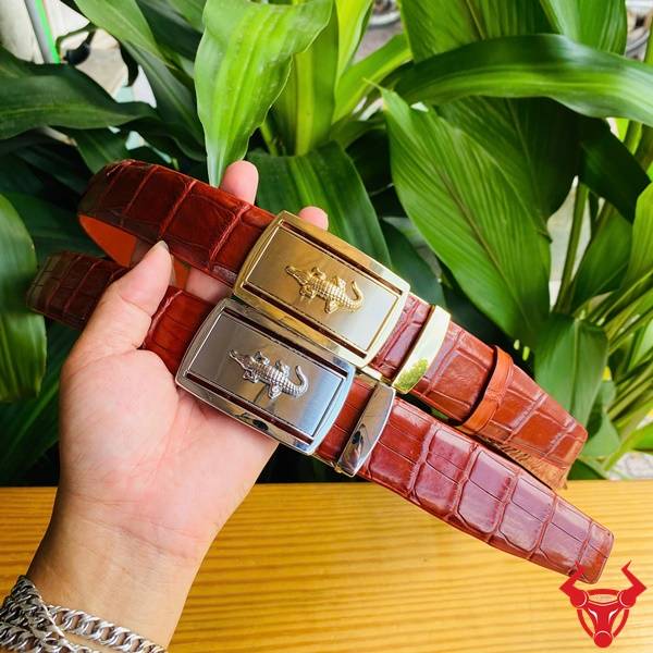 Thắt Lưng Cá Sấu Liền Da 3.5cm – Màu Nâu Đỏ Khóa Trắng Sáng Thắt lưng liền da cá sấu nâu đỏ cao cấp khóa trắng hợp kim.