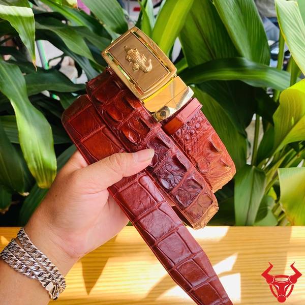 Thắt Lưng Da Cá Sấu Màu Nâu Đỏ Cao Cấp – Khóa Vàng Sang Trọng Thắt lưng da cá sấu nâu đỏ khóa vàng cao cấp, phong cách quý ông.