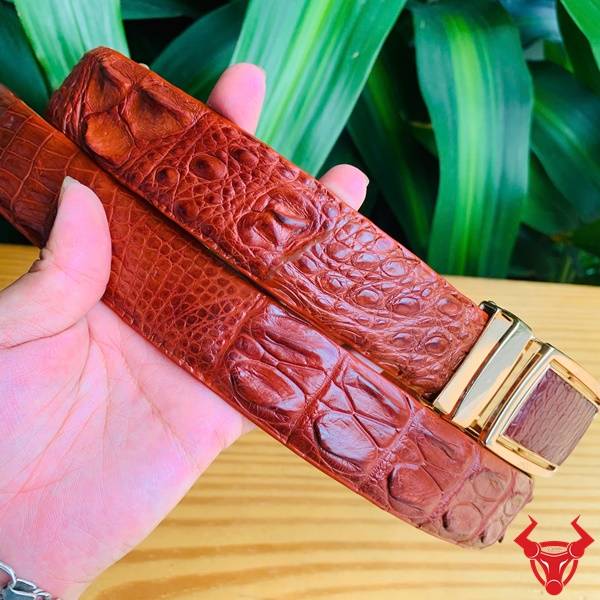 Phụ Kiện Nam Cao Cấp – Thắt Lưng Cá Sấu Nối Bản 3.5cm Thắt lưng nam da cá sấu màu nâu đỏ thời trang.