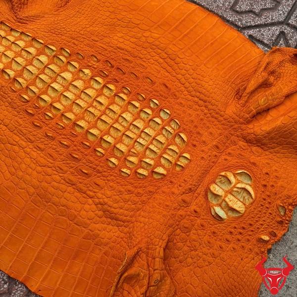 Da cá sấu nguyên tấm vàng cam size 51 chọn lọc chất lượng cao