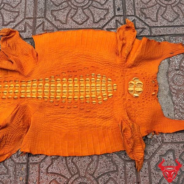 Da cá sấu nguyên tấm màu vàng cam size 51 bền bỉ cao cấp
