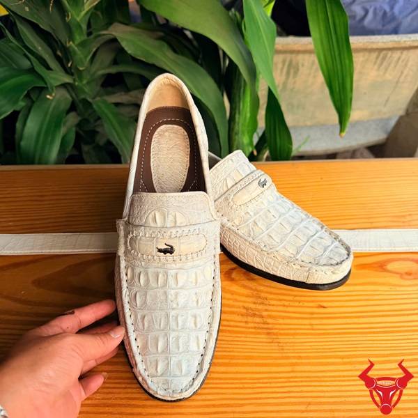 Giày tây da cá sấu doanh nhân cao cấp