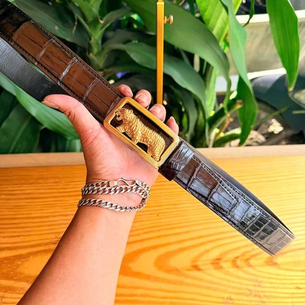 Thắt lưng da cá sấu thật TSK132 khóa hổ mạ vàng cao cấp.