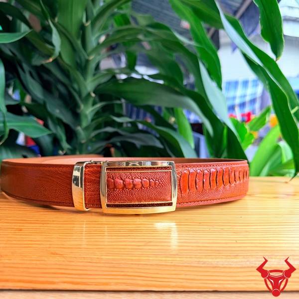Thắt lưng da đà điểu phối đồ nam cao cấp